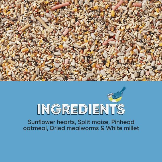 Happy Beaks - Spring & Summer Premium Seed Mix